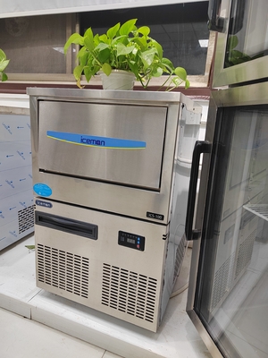 ICS-100 Wholesale Factory Low Price All in One Ice Maker Machine Snow Flake Ice Machine 100kg Per Day For Seafood Shop