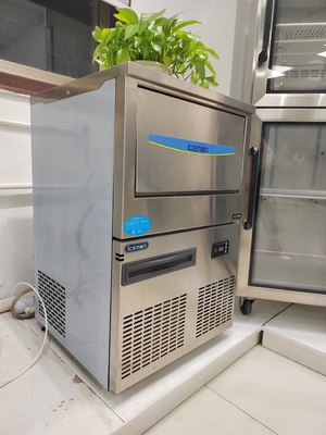 ICS-100 Wholesale Factory Low Price All in One Ice Maker Machine Snow Flake Ice Machine 100kg Per Day For Seafood Shop